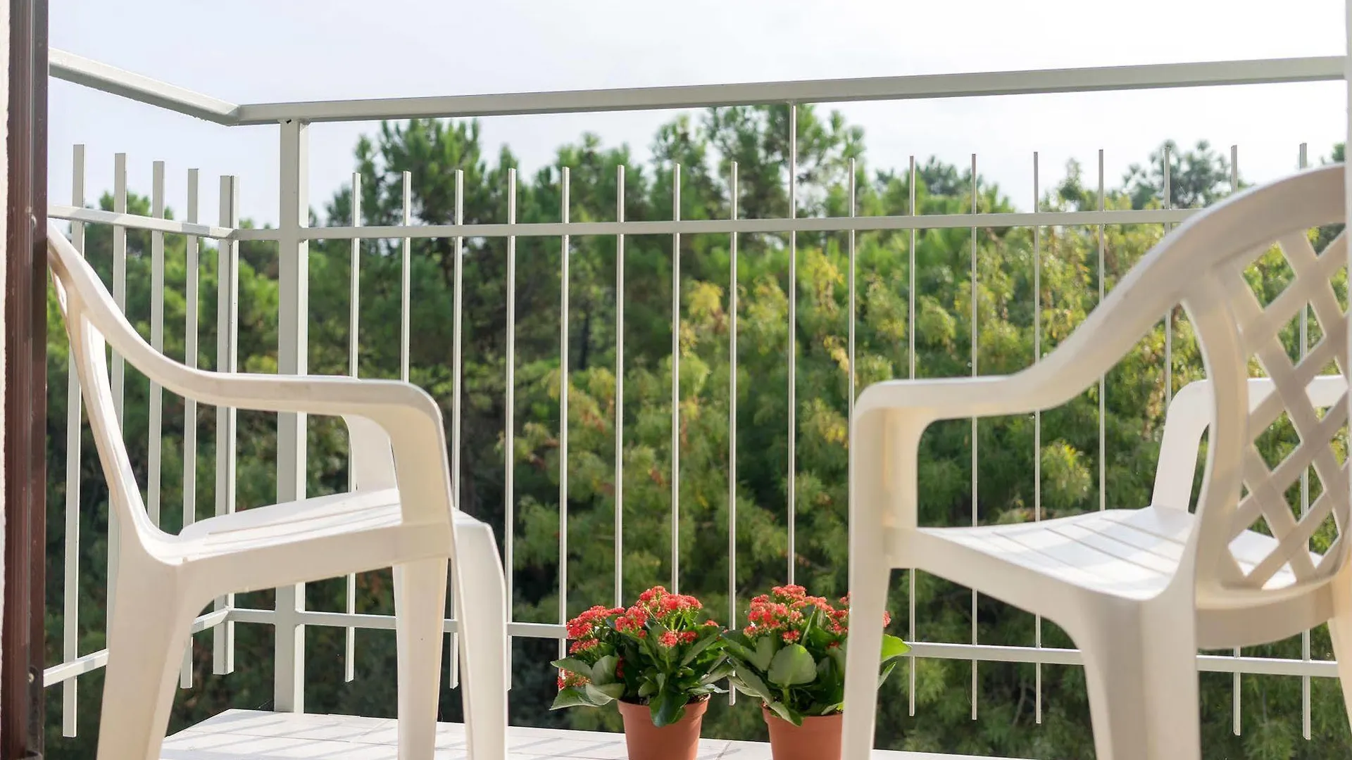Regina Hotel e Ristorante Punta Marina 3*,  Italia